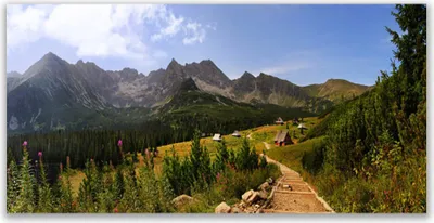 Produktbild von Tulup Leinwand-Bilder 120x60 Wandbild Canvas Kunstdruck Gebirge Wald Natur