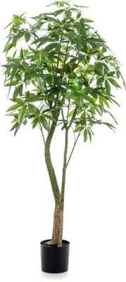 Produktbild von Sztuczna roślina Pachira Aquatica - Lucky Chestnut 180 cm - Idealna dekoracja do każdego domu i biura
