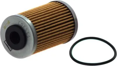Produktbild von Ölfilter CHAMPION COF555 Filtereinsatz