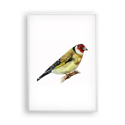 Produktbild von Gerahmtes Poster - Weißer Rahmen - Stieglitz Vogel Aquarell - 70x100 cm - Wand Bild - Wanddeko - Wandbilder - Wandposter - Bilderrahmen - Bilder - Kunstdruck - Wandbild - P2WPA70x100-4179