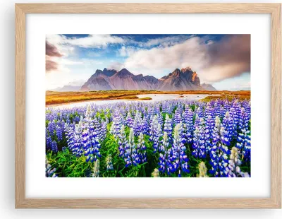Produktbild von Gerahmtes Poster - Rahmen in heller Eiche - Berge Wiese Blumen - 40x30 cm - Wand Bild - Wanddeko - Wandbilder - Wandposter - Bilderrahmen - Bilder - Kunstdruck - Wandbild - P2NAA40x30-4114