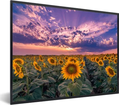 Produktbild von MuchoWow® Gerahmtes Poster Blumen - Himmel - Lila - Sonnenuntergang 80x60 cm - Poster mit Schwarzem Bilderrahmen Wandposter Rahmen Foto Bilder - Schwarzem - Mit Gestell