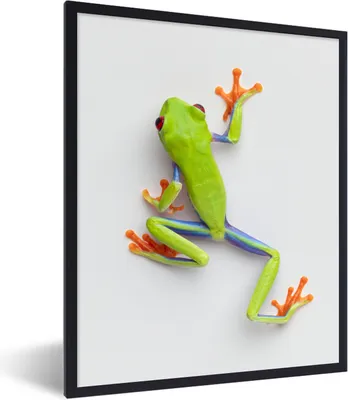 Produktbild von MuchoWow® Gerahmtes Poster Frosch - Tiere - Grün 60x80 cm - Poster mit Schwarzem Bilderrahmen Wandposter Rahmen Foto Bilder - Premium - Wanddeko Wohnzimmer