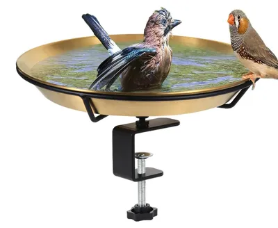 Immagine prodotto di Bagno per uccelli da esterno con morsetto regolabile