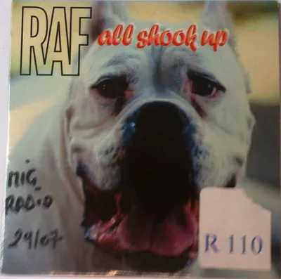 Produktbild von All Shook Up