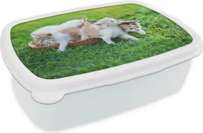 Produktbild von KitchenYeah® Lunchbox Brotzeit Brotdose 17x11 cm Kätzchen - Katze - Korb - Mädchen - Kinder - Jungen - Kinder Kinder Brotzeitdose - Lunch Box - Kinder - Sandwich-Box - Schulbox - Lunch Boxen
