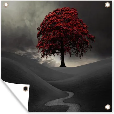Produktbild von MuchoWow® 50x50 cm Outdoor-Poster Gartendeko Sichtschutz Garten Poster für den Garten  Ein Schwarz-Weiß-Foto mit einem großen roten Baum