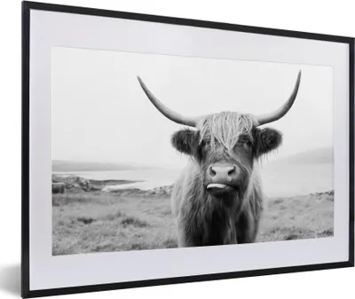 Produktbild von MuchoWow® Gerahmtes Poster Tiere - Schottischer Highlander - Kuh - Schwarz - Weiß 60x40 cm - Poster mit Schwarzem Bilderrahmen Wandposter Rahmen Foto Bilder - Schlafzimmer - Plakat in Rahmen - Drucken