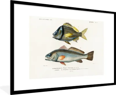Produktbild von MuchoWow® MuchoWow® Gerahmtes Poster Fisch - Jahrgang - Realismus 90x60 cm - Poster mit zchwarzem Bilderrahmen - Wanddekoration - Fotos