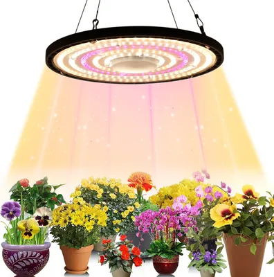 A grow light illuminates a collection of potted flowering plants.
