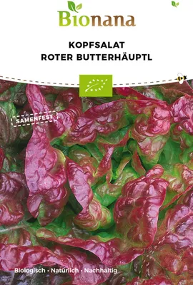 Produktbild von Kopfsalat Roter Butterhäuptl Salatsamen