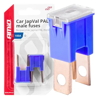 Image de JAPVAL PAL Auto Fusibles 100A, jeu de 2, type "O" avec ergots de contact