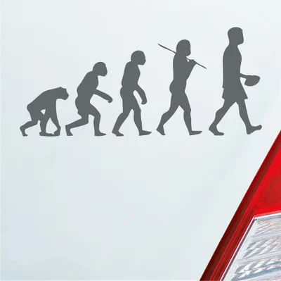 Produktbild von Auto Aufkleber Evolution Football Sport Ball 20x10 cm Grau Sticker Heckscheibenaufkleber