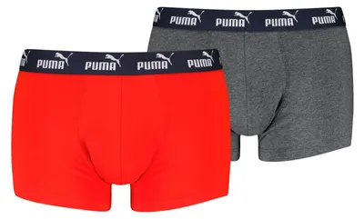 Produktbild von PUMA Elements Men Basic Trunks 2P