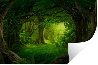 Produktbild von MuchoWow® Wandtattoo Wandsticker Wandaufkleber Bäume - Wald - Grün - Landschaft - Natur 120x80 cm Selbstklebend und Repositionierbar - Selbstklebend - Fototapeten
