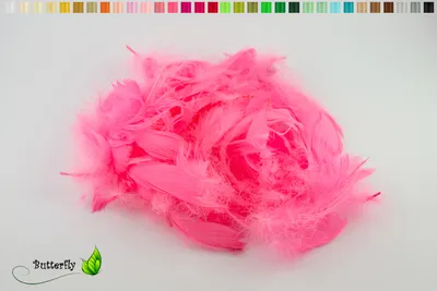 Produktbild von 5g Gänsefedern ca. 7-12cm, Farbauswahl:pink 156