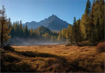 Produktbild von Fototapete Gebirge Wald Natur - 350x250 cm - Vliestapete Wohnzimmer Schlafzimmer - Vlies Fototapete Braun - 16288VX7