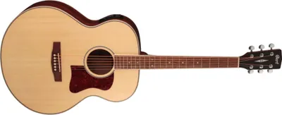 Immagine prodotto di Chitarra elettroacustica Cort CJ-MEDX