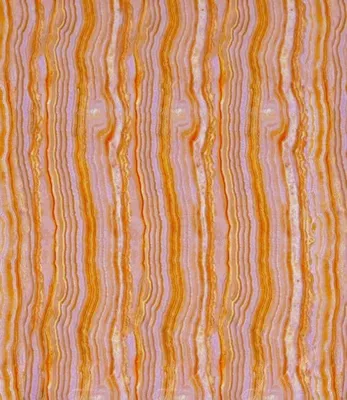 Produktbild von Finesse LFDA0013, Mehrfarbig, 900 x 3300 mm, 1 Stück(e)