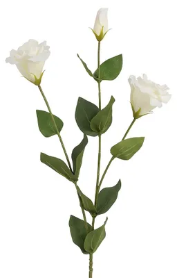 Produktbild von Clayre & Eef Kunstblume Weiß Kunststoff