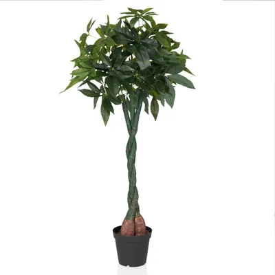 Obrázok produktu pre hjh OFFICE Umelá rastlina PACHIRA Umelá rastlina Philodendron Výška 160,0 cm Dekorácie