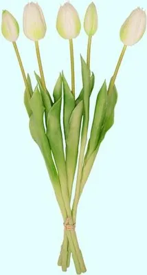 Produktbild von Biały/zielony bukiet tulipanów - 5 sztuk - sztuczne tulipany - 42 cm