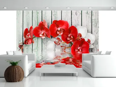 Produktbild von Vlies Fototapete 400x280 cm Tapeten Wandtapete XXL Blumen 10110906-6