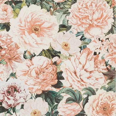 Produktbild von RP 20 Servietten Story of Roses - Die Geschichte der Rosen 33x33cm