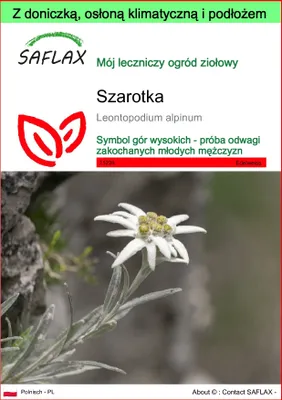 Zdjęcie produktu dla SAFLAX - Garden to go - Szarotka - 500 Nasiona - Z doniczką, pokrywą klimatyczną i podłożem do uprawy - Leontopodium alpinum