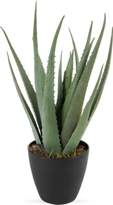 Produktbild von Künstliche Aloe-Pflanze, 45 cm