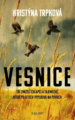 Produktbild von Vesnice (Trpková Kristýna)