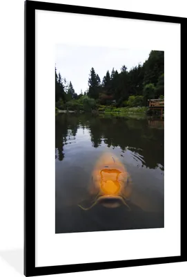 Produktbild von MuchoWow® Gerahmtes Poster Ein riesiger Koi-Karpfen im Wasser 60x90 cm - Poster mit Schwarzem Bilderrahmen Wandposter Rahmen Foto Bilder - Dekoration - Wandposter Wohnzimmer - Hochwertig