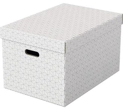 Immagine prodotto di Esselte scatola portaoggetti Home L, set di 3, bianco 100% cartone ondulato riciclato, con coperchio rimovibile, con - 1 pezzo (628286)