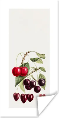 Produktbild von MuchoWow® Poster Kirschen - Pflanze - Zweige 75x150 cm - Dekoration für die Wände