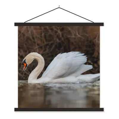 Produktbild von MuchoWow® Textilposter Schwan - Wasser - Tiere - Vogel 90x90 cm mit schwarzem Rahmen - Magnetisches