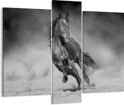 Produktbild von Bild auf Leinwand - Leinwandbild - 3 Teile - Pferd Galopp dynamisch - 95x80cm - Wand Bild - Wanddeko - Wandbilder - Leinwanddruck - Bilder - Wanddekoration - Leinwand bilder - Wandbild - CB95x80-5023