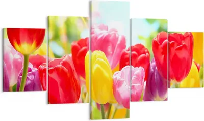Produktbild von Bild auf Leinwand - Leinwandbild - Tulpe Blume Garten Plantage - 125x70cm - Wand Bild - Wanddeko - Leinwanddruck - Bilder - Kunstdruck - Wanddekoration - Leinwand bilder - Wandkunst - EA125x70-2466