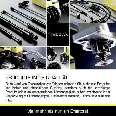 Produktbild von Gasfeder Koffer-/Laderaum Hub 210 mm 355 N TRISCAN für u.a. NISSAN QASHQAI
