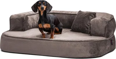 Produktbild von tierlando® Orthopädisches Hundesofa SHARLEEN VISCO PLUS kuscheliger Teddystoff - Größe: 80x60cm | Farbe: 02 Graphit Taupe