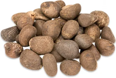 Produktbild von Tagua Nüsse Natur unpoliert, verpackt mit 1kg | Phytelephas macrocarpa