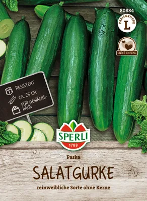 Produktbild von SPERLI - Salatgurke Paska, F1 Samen - 80884