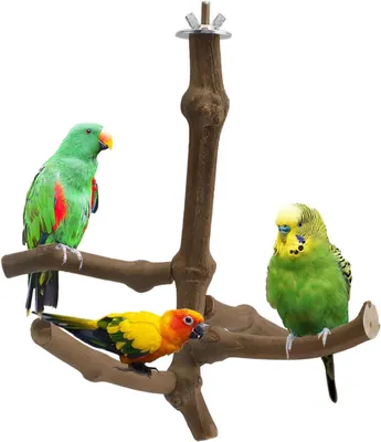 Image de 5 perchoirs en bois pour cage à oiseaux
