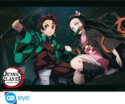 Produktbild von Demon Slayer  - Poster Maxi 52 x 38 cm - Tanjiro und Nezuko Kampfstellung