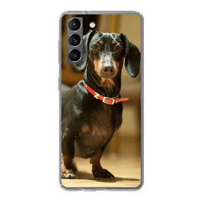 Produktbild von MuchoWow® Handyhülle Schutzhülle Hülle für Samsung Galaxy S21 Porträt eines schwarzen Dackels Silikon Softcase Handy Hülle - Softcase