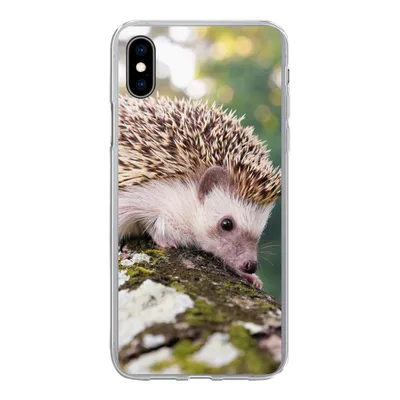 Produktbild von MuchoWow® Handyhülle Schutzhülle Hülle für iPhone Xs Baby - Igel - Baum Silikon Softcase Handy Hülle - Handytasche