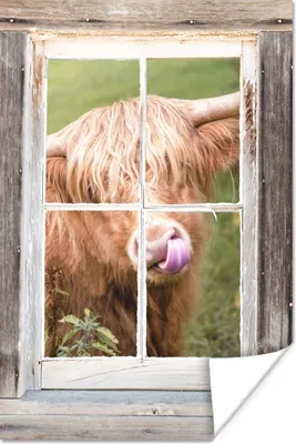 Produktbild von MuchoWow® Poster Highlander - Fenster - Zunge - Ausblick 40x60 cm - Plakate für die Wand - Poster Babyzimmer