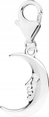 Productafbeelding van Zilveren hanger met maan, nachtmaan, maanhemel, halve maan. Zilver 925