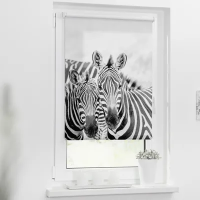 Obrázek produktu pro Roleta na okno Lichtblick bez vrtání Zebra 70x150 cm včetně upínacích držáků