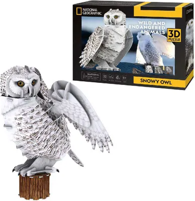 Produktbild von CubicFun Schnee-Eule – 3D-Puzzle – National Geographic