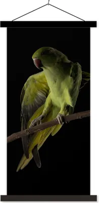 Produktbild von MuchoWow® Textilposter Papagei - Vogel - Zweig 90x180 cm mit schwarzem Rahmen - Dekoration Wohnzimmer